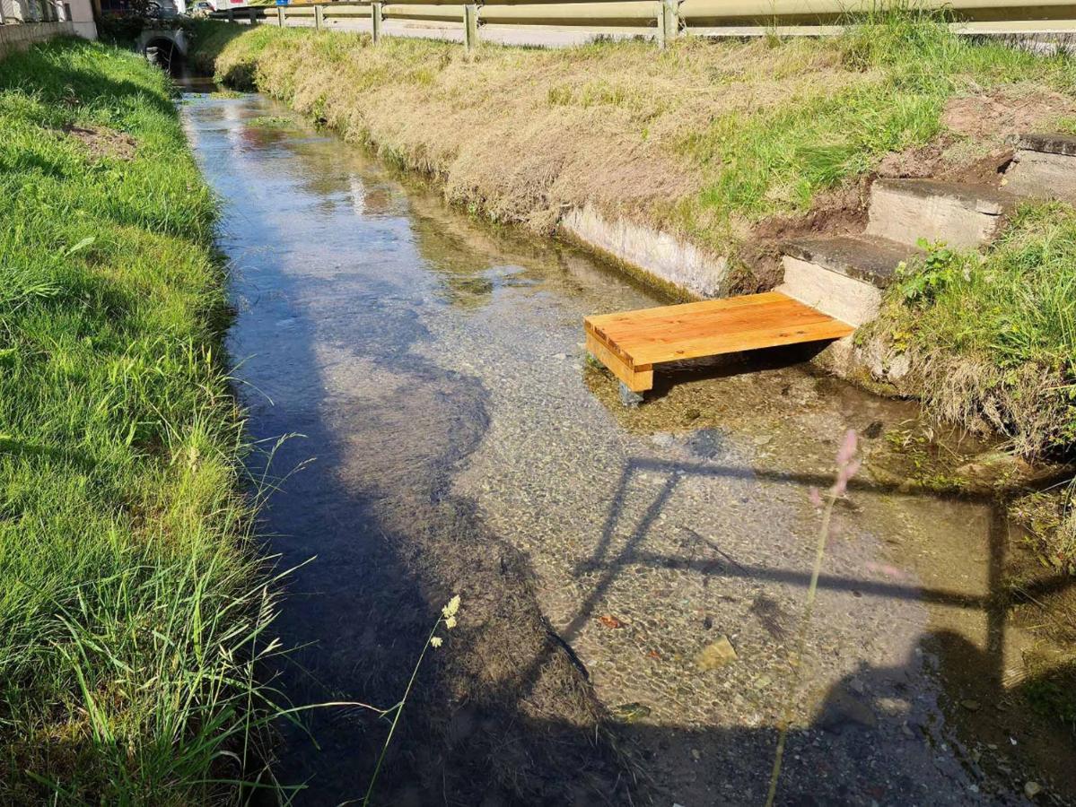 Am Bach